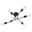Oriole Spotlight-790386017-790386022