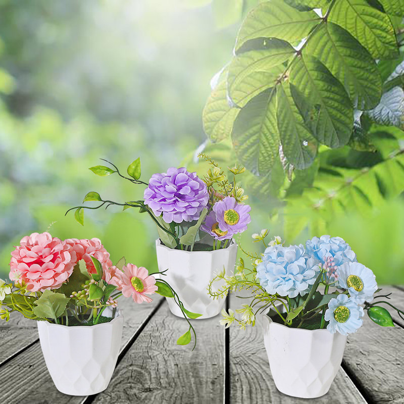 Arrangement floral d'œillets en pot