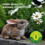 Easter Decoration