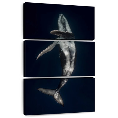 Brampt Dancing Humpback Whale