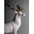 Deer (White-Copper)