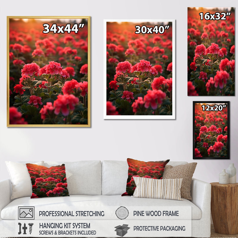 Photo Og Geraniums Field II sur toile, H 20 po x l 12 po x P 1 po, Cadre simple argenté