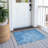 Machine Washable Indoor/Outdoor Derrick ACN2224 Floral Rug-471900277