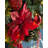 Faux Lighted 76cm Wreath