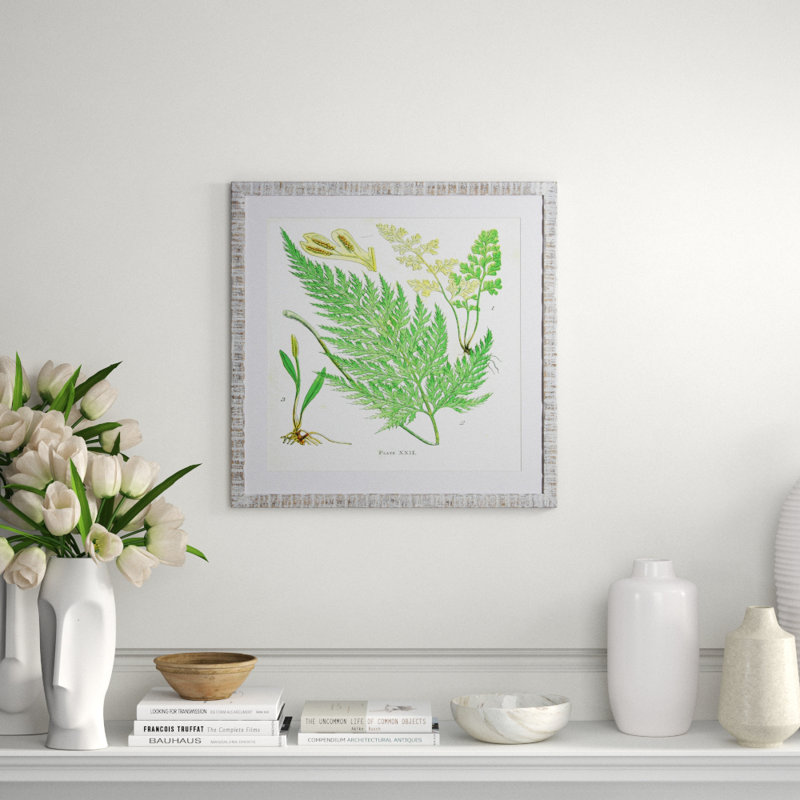 Brilliant Fern V Print