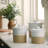 Scotia Stoneware Jar-102292388