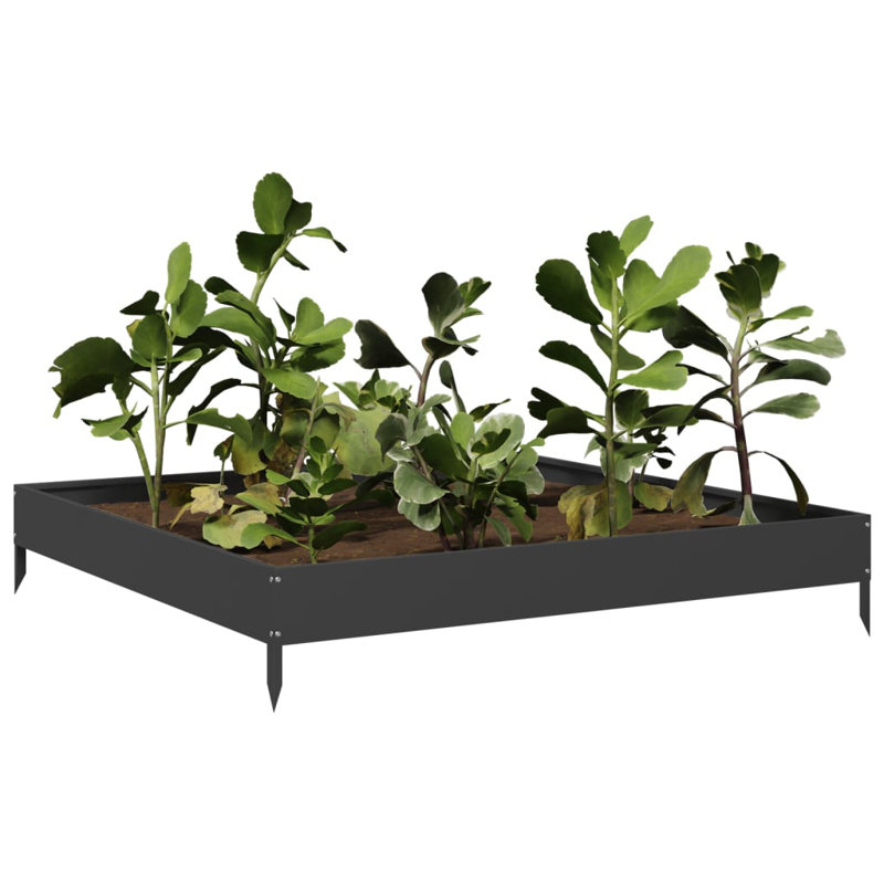 Caylub Metal Raised Garden Bed, 18.5cm H x 100cm W x 100cm D, Black