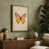 Taupe Border