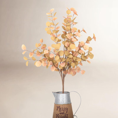 Eucalyptus Floral Stems