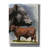 'Angus Cattle' by Barbara Keith, Canvas Wall Art