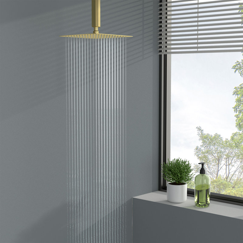 Pomme de douche carrée 12 po, Oil Rubbed Bronze