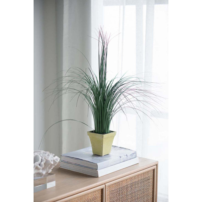 24 " H Faux Onion Grass in Ceramic Pot