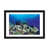 Black Framed Fine Art Paper is unavailable