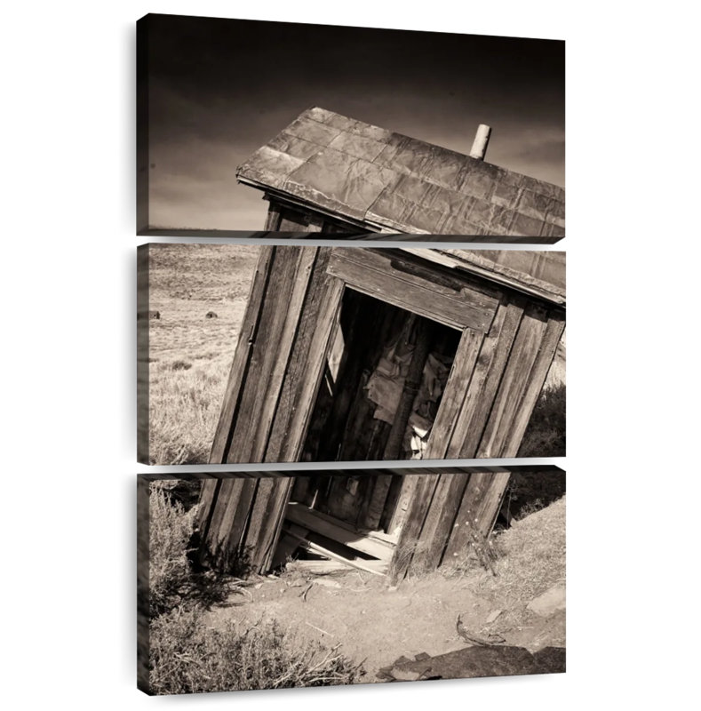 Lilie Ghost Town Outhouse II