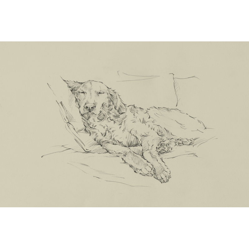 Golden Sketch II by Ethan Harper - Wrapped Canvas Painting, 30cm H x 46cm W x 3.8cm D