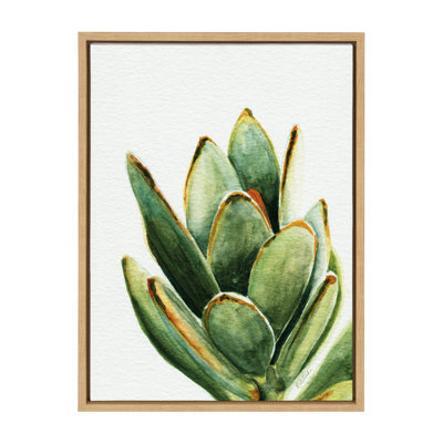 Succulent 18 by Jennifer Redstreake Geary of Redstreake Fine Art Framed Canvas Wall Art Print