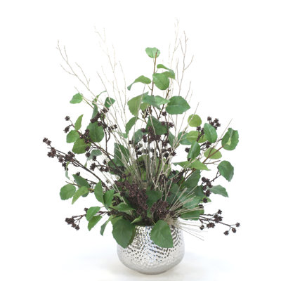 Plantes de feuillage de noël en pot de fleurs