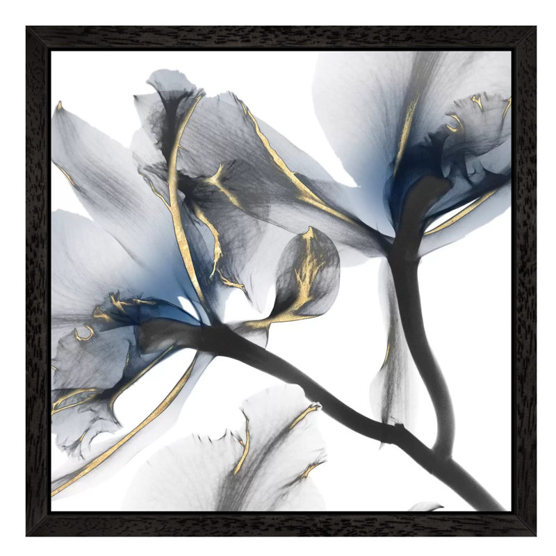 Indigo Luster Cyclamen II by Albert Koetsier - Wrapped Canvas Print, 93.98 cm H x 93.98 cm W, Black Framed