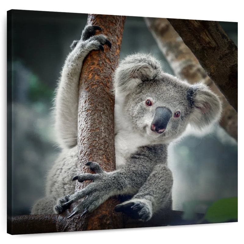 Crowle Koala Hugging Tree, 10" H x 10" W
