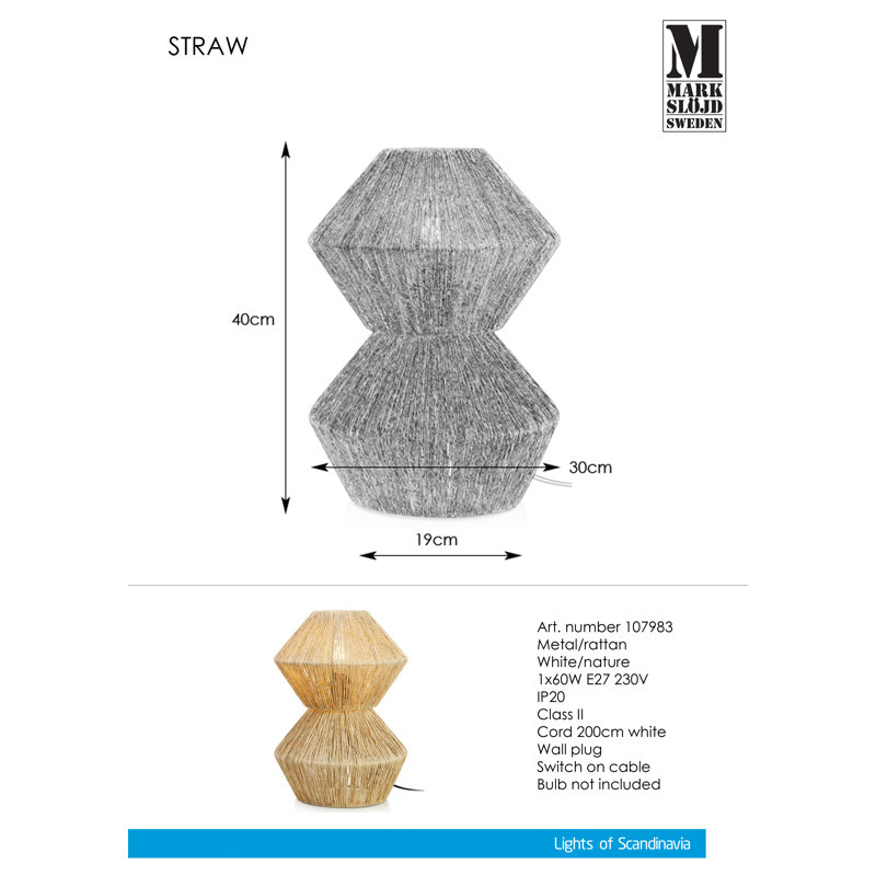Forada Rattan Novelty Lamp