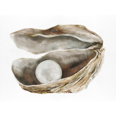 Huître 4 par Rita Taverni