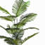 Palmier artificiel 86 "avec pot 86"