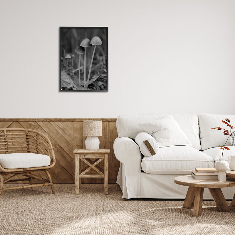 Bb-072-encadré, photographie de champignon par Lil 'Rue, H 30 po x l 24 po x P 1,5 po, Giclée encadrée noir minuit