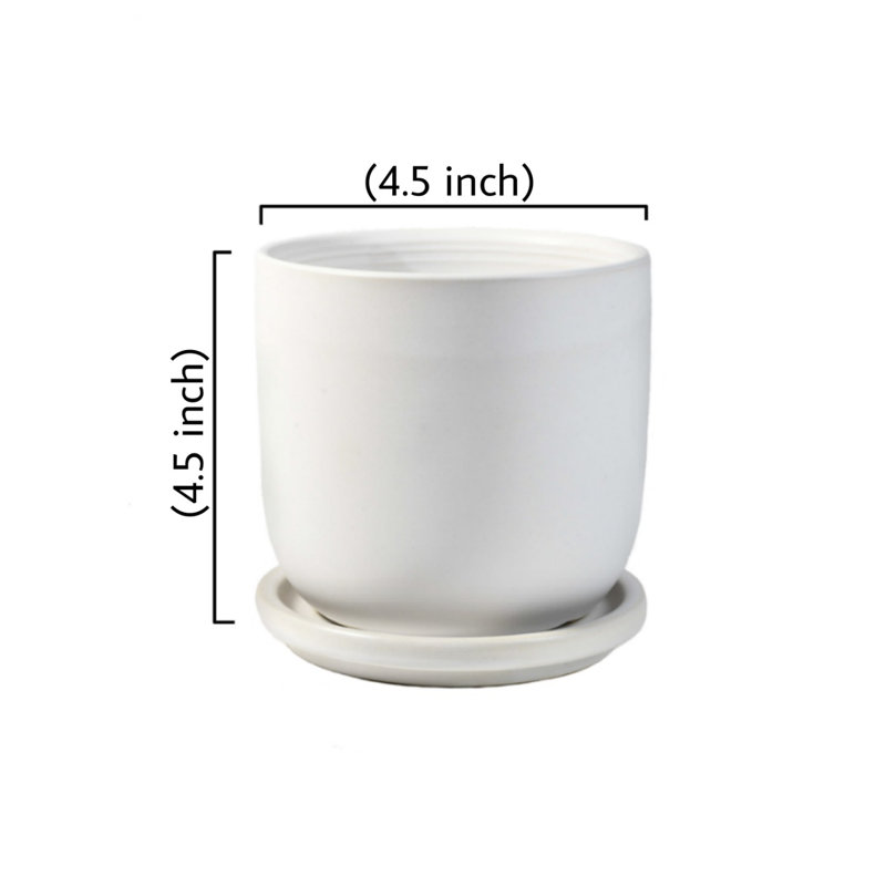 Bassima Ceramic Pot Planter, 4.5'' H X 4.5'' W X 4.5'' D