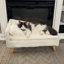Coussin pour chien confortable et imperméable Comfy-1267820612