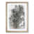 Oak Framed selected