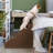 Grommit Stairs With 5 Steps-1618437341