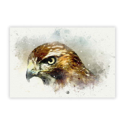 Hawk - Frameless Print