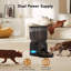 Automatic Feeder