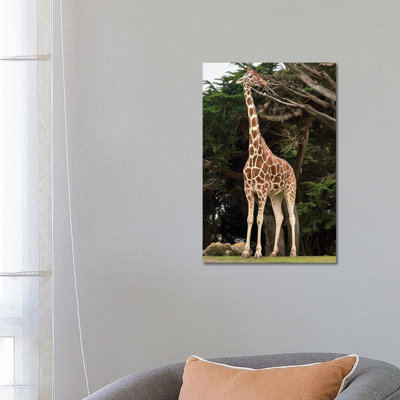 Giraffe I by Nikita Abakumov - Wrapped Canvas Print