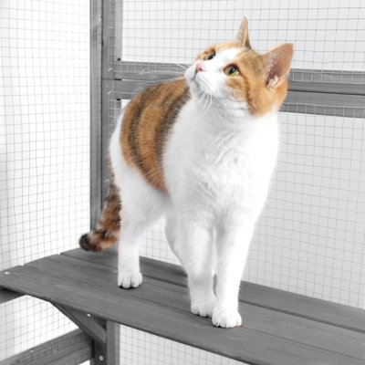 Cat Cage