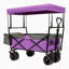 Wagon pliable avec auvent-112369138
