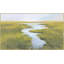 Wandering Marsh Print