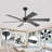 Lucienne 60'' Smart Indoor Ceiling Fan with LED Lights-654225994-654225995