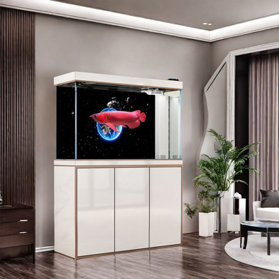 White Simple Rectangular Eco Aquarium Tank