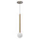 Elixir Single Light Glass Dimmable LED Pendant