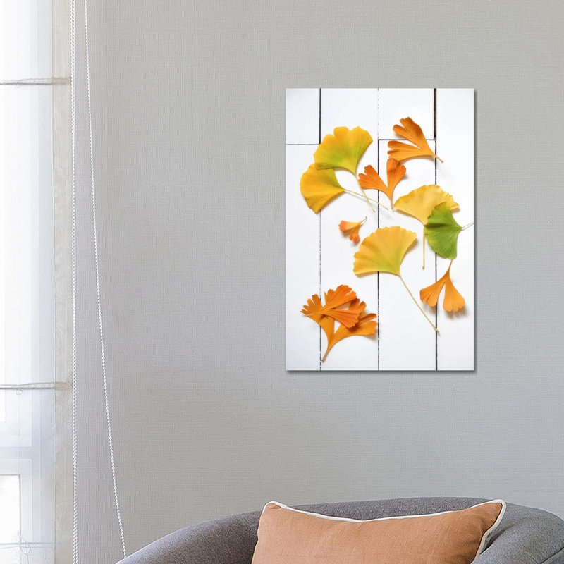 Ginkgo Fun by Philippe Sainte-Laudy - Wrapped Canvas Print, 66.04 cm H x 45.72 cm W x 1.91 cm D