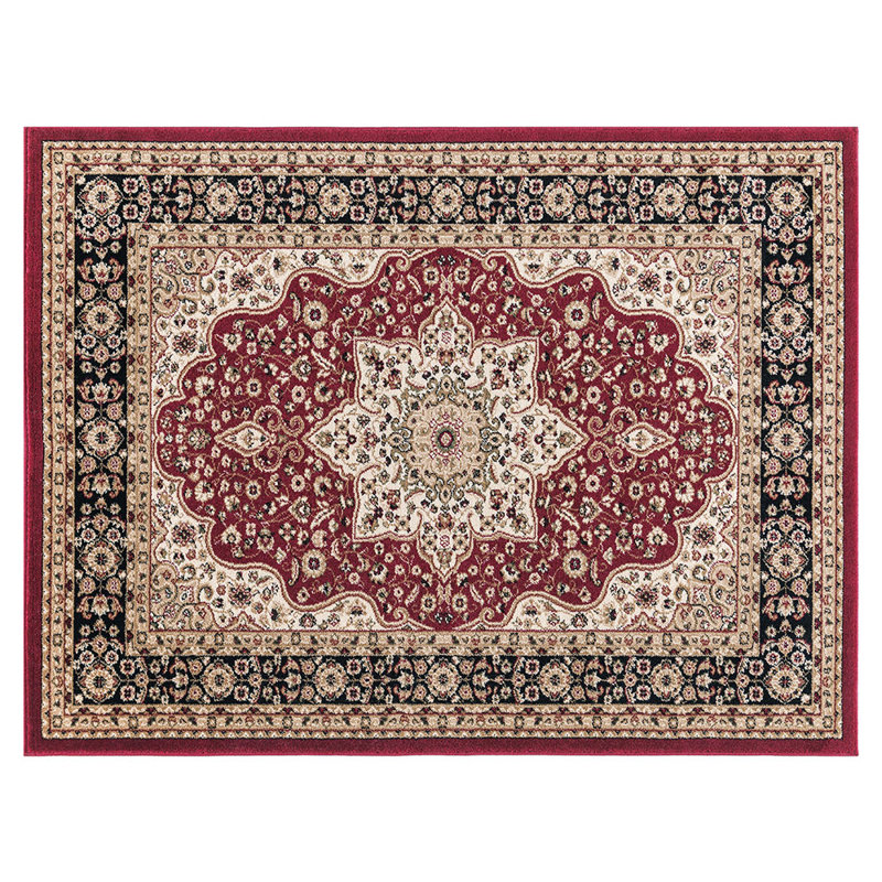 Mcneese Oriental Area Rug, Rectangle 240 x 320cm