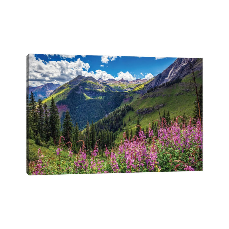 San Juan Mountain Wildflowers Landscape - Ice Lakes Basin Summer Scenery 1 Piece Wall Art on Canvas, Does Not Apply