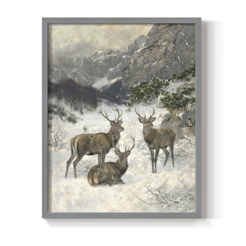 «Vintage Animal Print», reproduction encadrée en bois massif, Gris, H 11 po x l 9 po