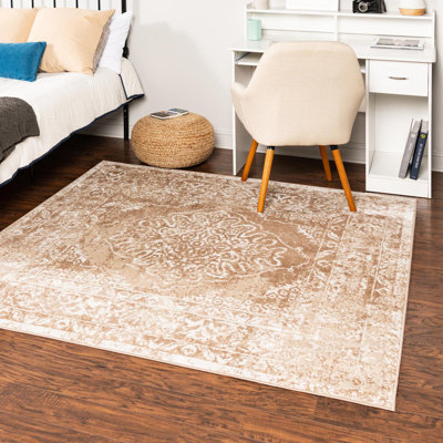 Oriental Indoor Rug