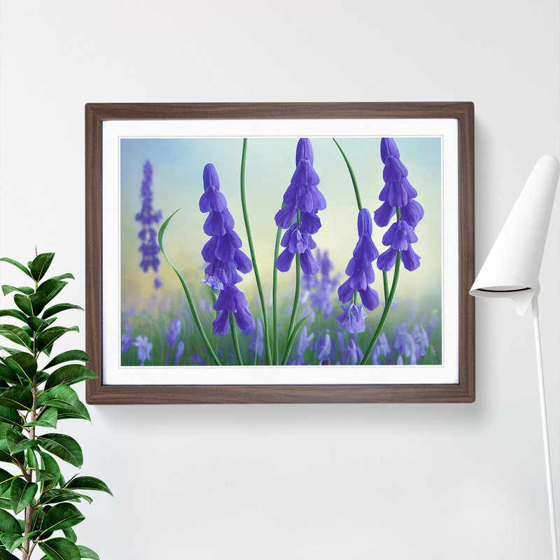 Bluebell Flower Vol.2 - Single Picture Frame Painting, 46cm H x 64cm W x 2cm D, Walnut Framed