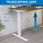 Ultimate Dual Motor Electric Standing Desk With Tabletop --1775608541-1775608537
