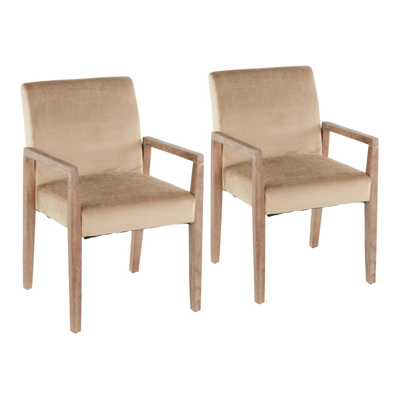 Egan 18.5'' H Upholstered Armchair, Light Brown Velvet, Black