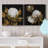 " Cotton Balls I " 2 - Pieces-1556693463