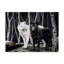 Impression sur toile tendue Armstrong «Sentinel Spirits»-27646879